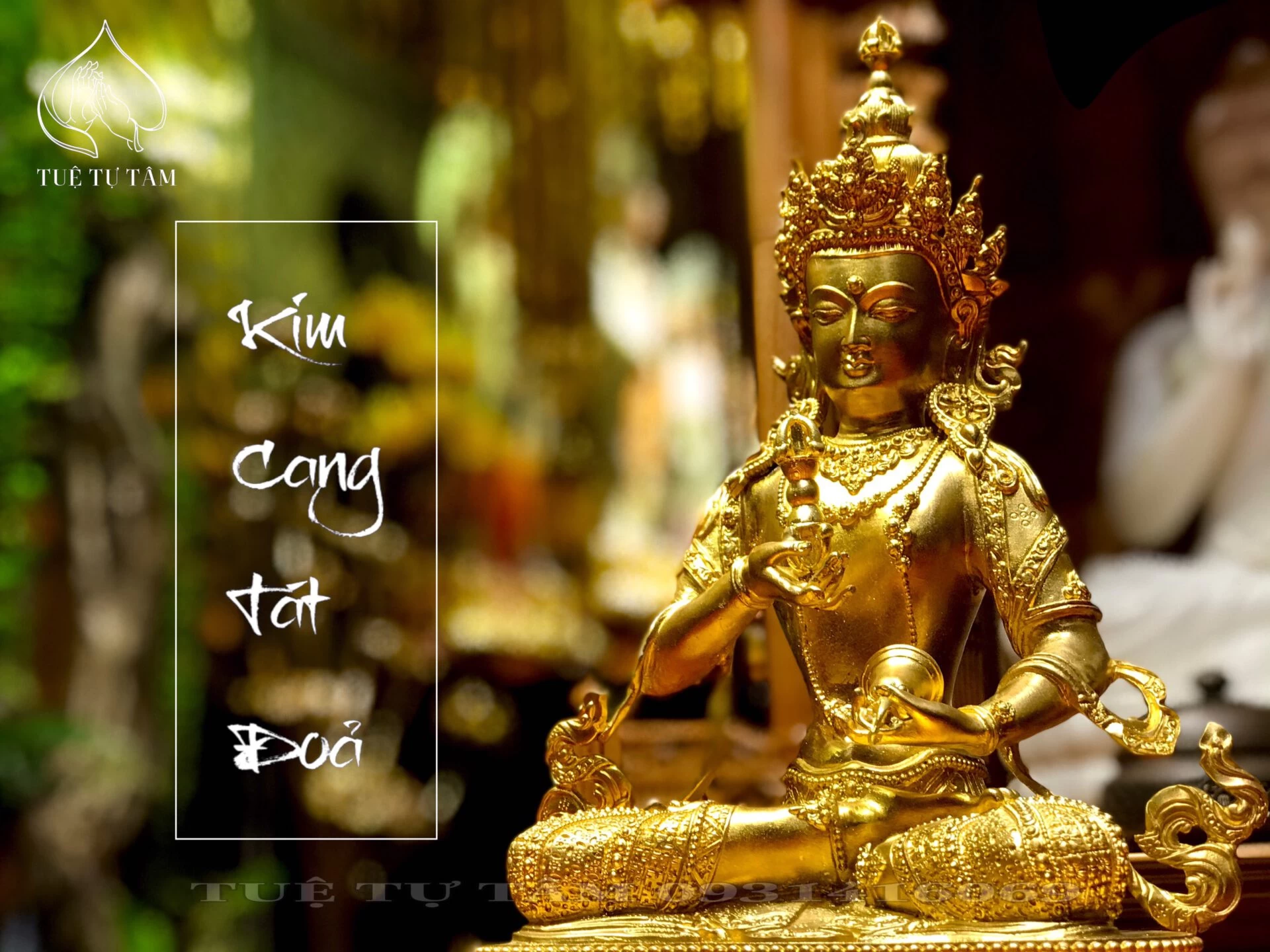 KIM CƯƠNG TÁT ĐỎA