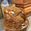 Thiềm Thừ Gỗ Đuôi Công